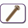 PEEK® pan head screw [180] (180122570409)