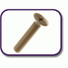 PEEK® countersunk screw [181] (181041270409)