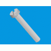 Slotted cheese head screw [536] (536026559902)