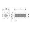 Pan head machine screw metal DIN 7985 [342-m] (342041040952)