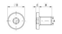 PEEK® socket head torx screw [187-1]