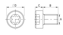 PEEK® socket low head torx screw [187]